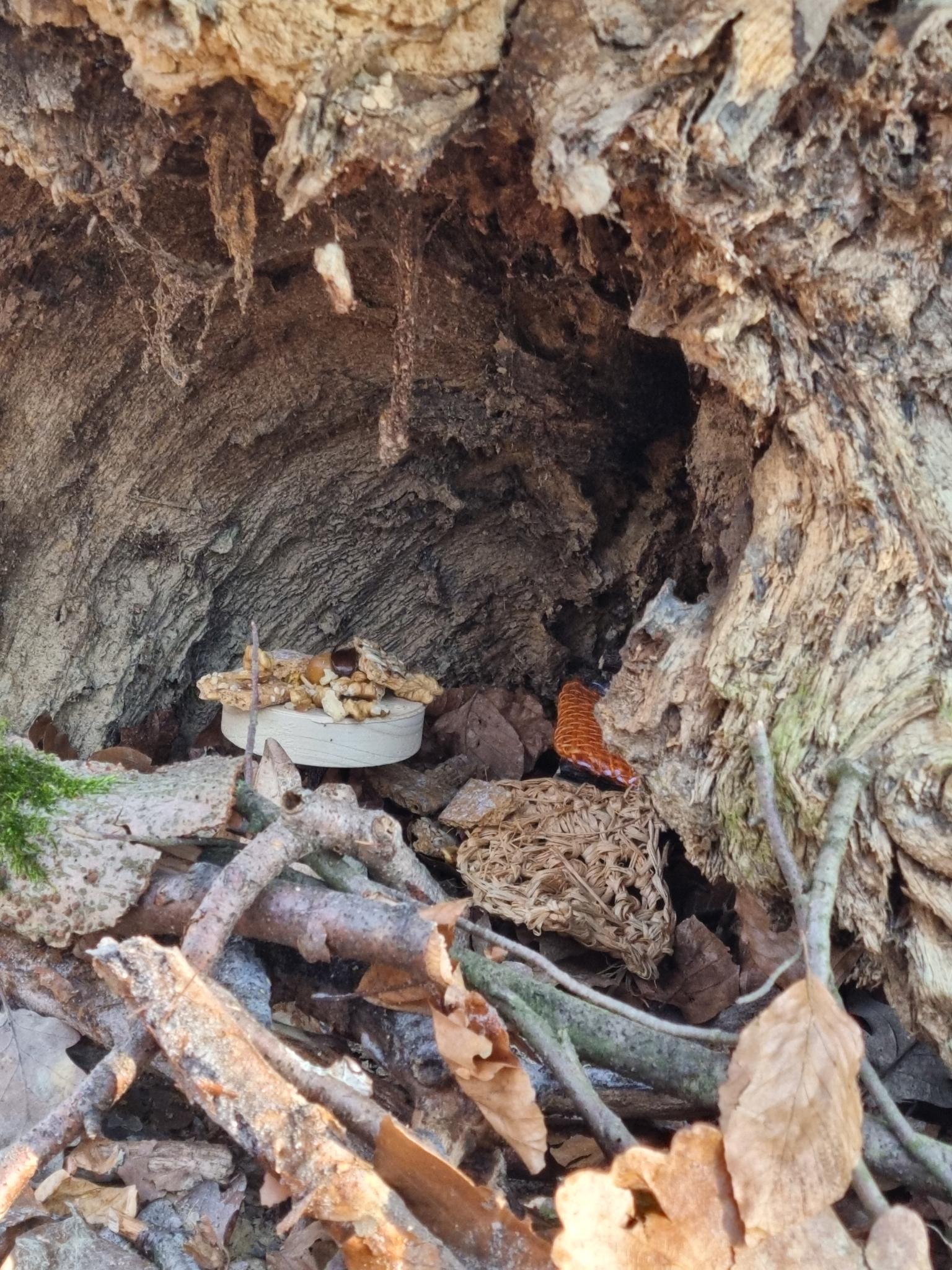 Naturerfahrungen